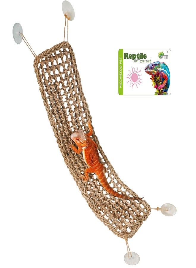 MCLANZOO Bearded Dragon Lizard Hammock Reptile Lounger 30"*8" 1Pcs,100% Natural Seagrass Bed and Cage Terrarium Tank Accessories for Geckos,Snakes,Chameleon,Hermit Crab,Axolotl,Iguana - Image 1